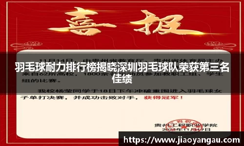 羽毛球耐力排行榜揭晓深圳羽毛球队荣获第三名佳绩